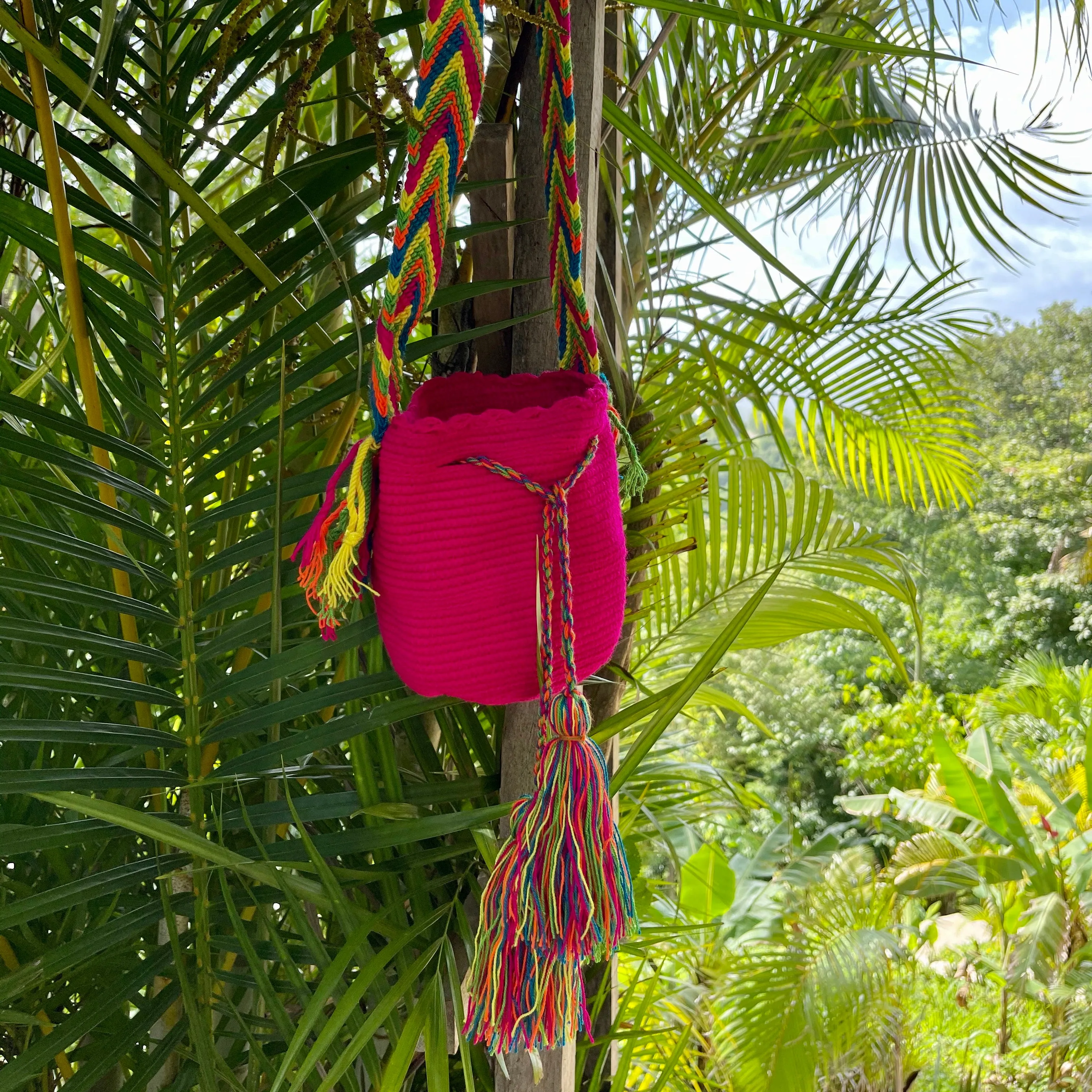 Small Fuchsia Mochila