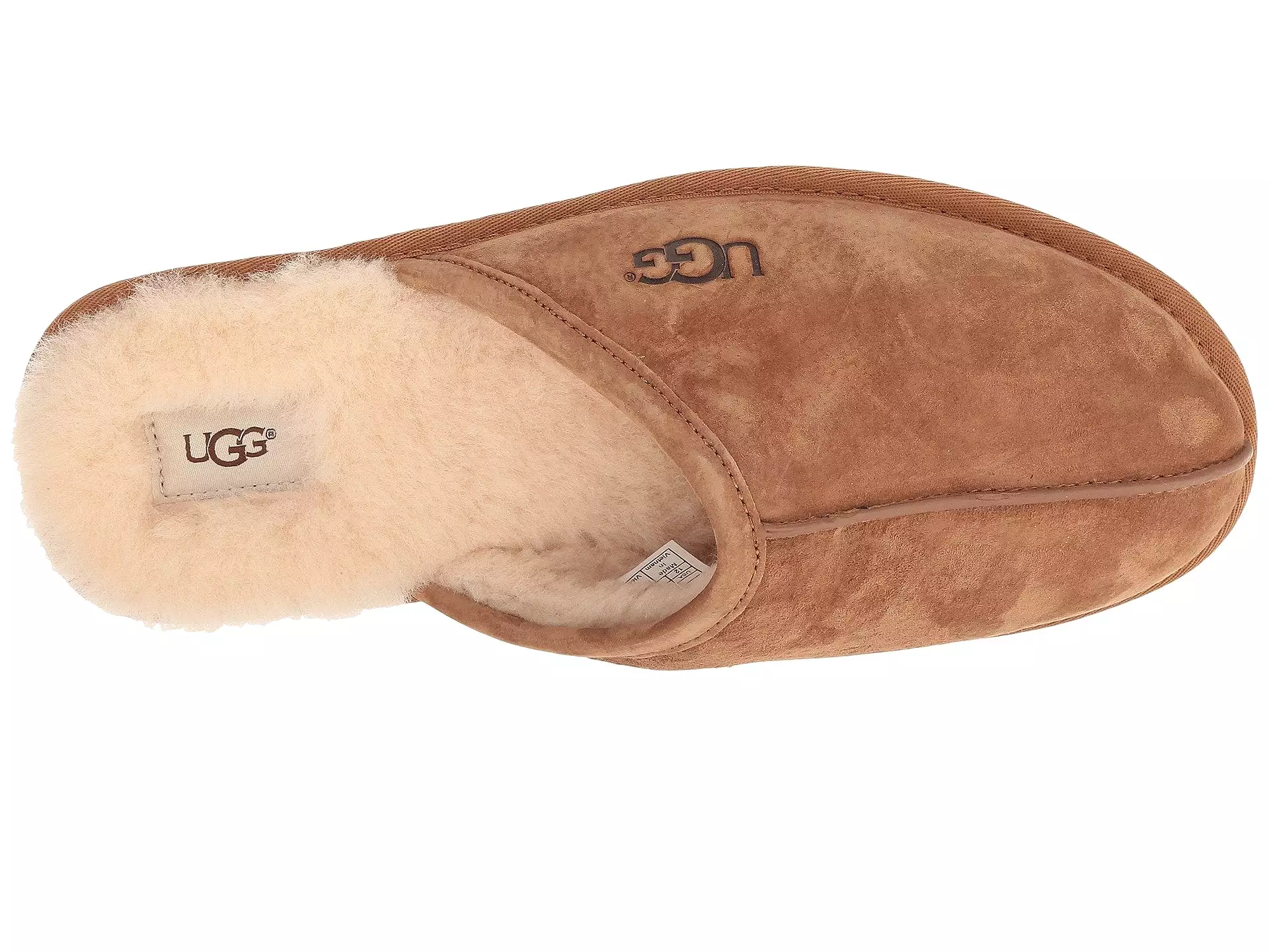 UGG Scuff Men | Chestnut (1101111)